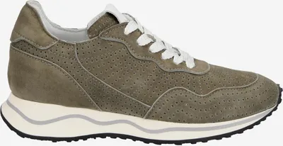 Produktbild von Maripé CORINNE VAR 11, Sneaker in Grün für Damen, Größe 37