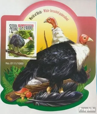 Produktbild von Briefmarken Sierra Leone 2015 Mi Block 841 (kompl. Ausg.) postfrisch Weißbrustperlhühner