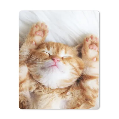 Produktbild von MuchoWow® Mauspad Mousepad Katze - Rot - Haustiere - Kätzchen 30x40 cm - Mousepads - Maus Mat - Pad - Mausunterlage - Mausmatten