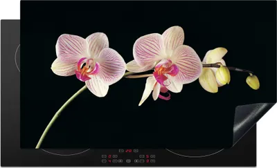 Produktbild von KitchenYeah© Herdabdeckplatte Orchidee - Blumen - Schwarz - Rosa - Knöpfe , 91x52cm, Küche Deko, Glaskeramikkochfeld Herdabdeckung, Abdeckplatte fùr Kochfeld