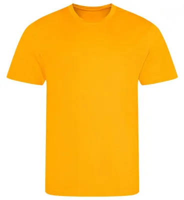 Produktbild von AWDis Cool - T-Shirt für Herren LT4335 (XS) (Gold)