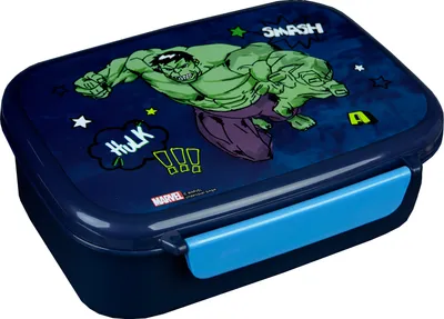 Image de Avengers Lunchbox 13,5x18x6 cm Design super-héros pour enfants