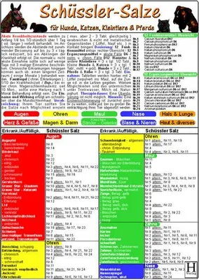 Produktbild von Schüssler-Salze für Hunde, Katzen, Kleintiere und Pferde. DIN A5