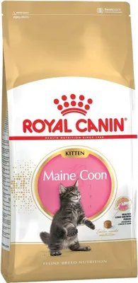 Produktbild von Royal Canin Maine Coon Kitten, Kitten, Maine Coon, Geflügel, 2 kg, Antioxidantien enthalten