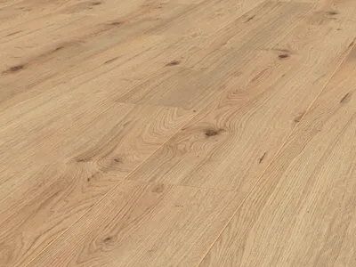 Produktbild von Laminat Jangal 8055 Nature Oak National Park Line Plus 8mm