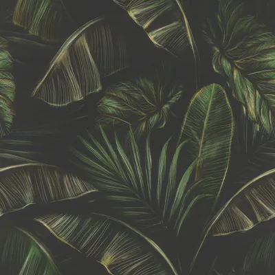 Produktbild von Papiertapete 286588 Tapete Botanical Dschungel 53 x 1005 cm Rasch Selection Grün
