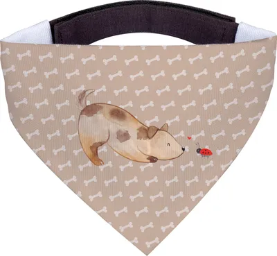 Produktbild von Mr. & Mrs. Panda Dreieckstuch Hund Marienkäfer - Hundeglück - Geschenk, Bandana, Achtsam, Hunde, Halstuch für, Hundehalstuch, Sprüche, Mischlingshund, Neugierig