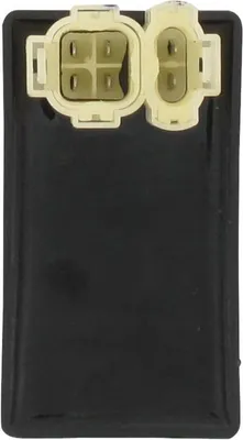 Produktbild von CDI Zündbox 25km/h Euro2 Rex RS450 Steuergerät 50ccm 4Takt 700341 Motorroller.de CDI-Einheit Blackbox Zündeinheit 139QMB Scooter RS500 QM50QT