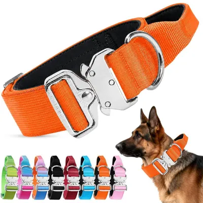 Produktbild von Breites Hundehalsband mit Griff und Metallschnalle Orange XL