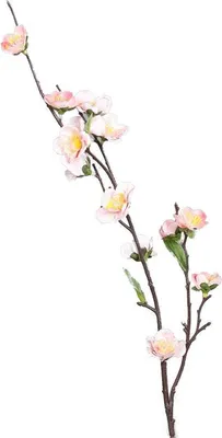 Produktbild von Kirschblütenzweig - peach - Kunstblumen