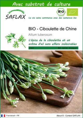 Image de SAFLAX  -- Ciboulette de Chine - 100 graines - Avec substrat - Allium