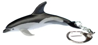 Produktbild von Weißschnauzendelfin Delfin Schlüsselanhänger Miniblings Delphin Ozean gelb Meer