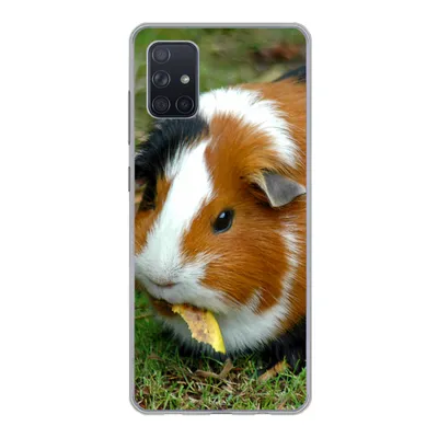 Produktbild von MuchoWow® Handyhülle Schutzhülle Hülle für Samsung Galaxy A71 Meerschweinchen draußen Silikon Softcase Handy Hülle - Kartenbesitzer