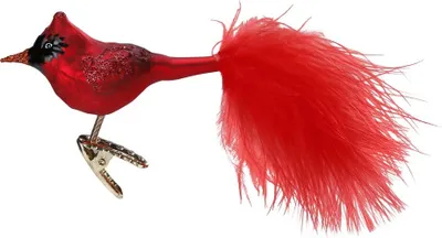 Produktbild von Christbaumschmuck Rotkardinal auf Clip Glas 8cm rot, 1 Stück