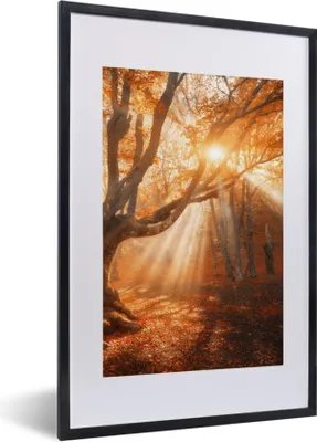 Produktbild von MuchoWow® Gerahmtes Poster Baum - Natur - Herbst 40x60 cm - Poster mit Schwarzem Bilderrahmen Wandposter Rahmen Foto Bilder - Poster in Rahmen
