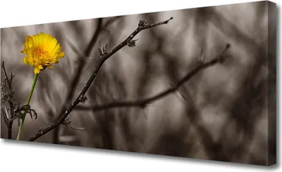 Produktbild von Tulup Leinwand-Bilder 125x50 Wandbild Canvas Kunstdruck Zweig Blume Pflanzen