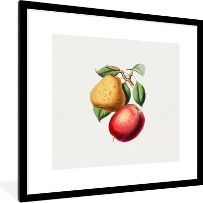 Produktbild von MuchoWow® Gerahmtes Poster Früchte - Frühling - Blätter 40x40 cm - Poster mit Schwarzem Bilderrahmen Wandposter Rahmen Foto Bilder - Poster - Plakat im Rahmen