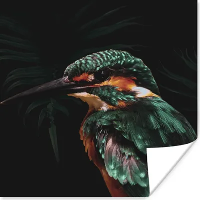 Produktbild von MuchoWow® Poster Eisvogel - Vogel - Grün 50x50 cm - Wohnzimmerdekoration