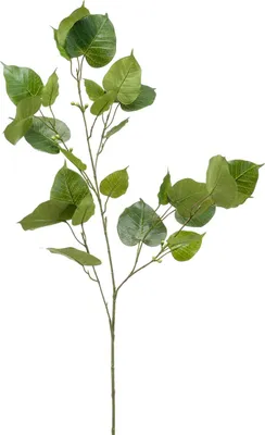 Produktbild von artplants.de Kunst Ficus religiosa Zweig ASCELLA mit Früchten, grün, 95cm - Kunststoff Zweig