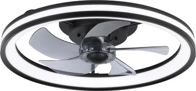 Obrázek produktu pro Clanmacy LED stropní ventilátor s osvětlením a dálkovým ovládáním Stmívatelné stropní světlo ložnice obývací 48CM