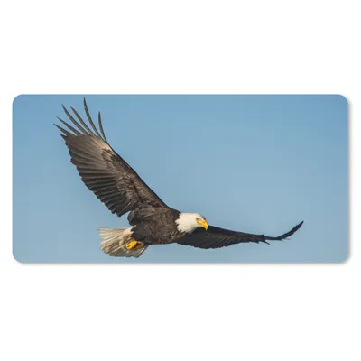 Produktbild von MuchoWow® Mauspad Mousepad Vogel - Adler - Raubvögel 60x30 cm - Mousepads - Maus Mat - Pad - Mausunterlage - Nachhaltig