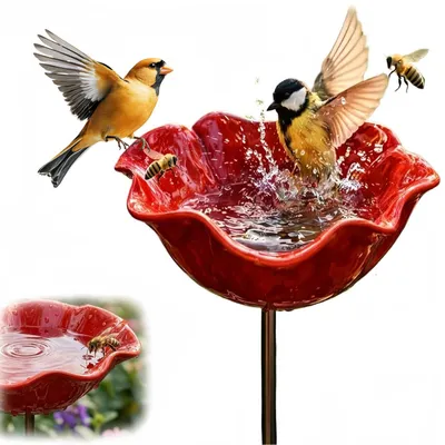 Imagen del producto de Bañera para pájaros, resistente al agua, ideal para jardín y balcón, bebedero para aves
