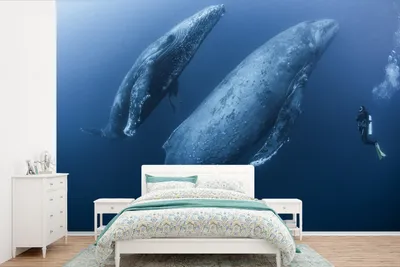 Produktbild von MuchoWow® Fototapete für Wohnzimmer oder Schlafzimmer Wandtapete Vinyl Motivtapete Einsamer Taucher trifft Wale - 360x240 cm - Vinyl-Tapete