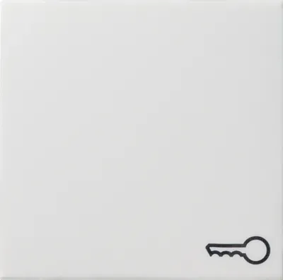 Produktbild von GIRA 028703 Wippe Symbol Tür System 55 Reinweiß glänzend