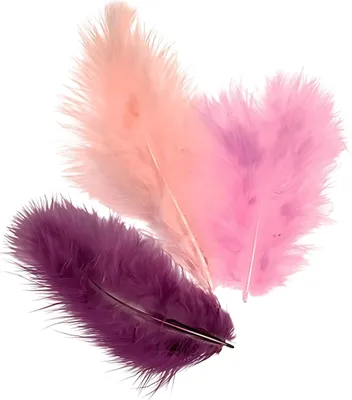 Produktbild von KNORR PRANDELL 216619928 Marabufedern-Mix ca. 10 cm violett