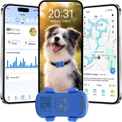 Image de Traceur GPS chien Traceur GPS animaux - 4G - IP67 étanche - Fixation scratch - Noir