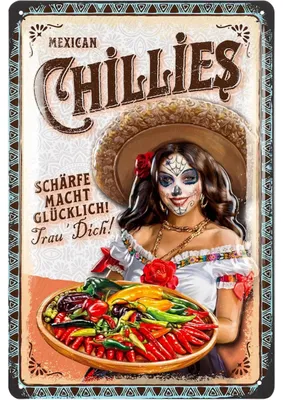 Produktbild von LANOLU Retro Blechschild CHILLES - Retro Deko Küche - Vintage Küchen Schild, Metallschild mit Spruch, 20x30cm