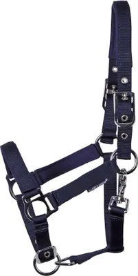 Produktbild von Harry´s Horse Foal Padded Halfter Schwarz Foal Schwarz Foal
