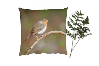 Produktbild von MuchoWow® Zierkissen Sofakissen Wohnzimmer Dekokissen 45x45 cm Rotkehlchen - Vogel - Natur - Schlafpolster - Polster für das Sofa