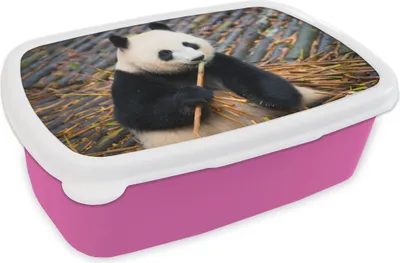 Produktbild von KitchenYeah® Lunchbox Brotzeit Brotdose 17x11 cm Panda - Bambus - Blätter Kinder Brotzeitdose - Lunchpaket - Brotkasten  - Sandwich Box