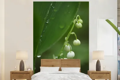 Produktbild von MuchoWow® Fototapete für Wohnzimmer oder Schlafzimmer Wandtapete Vinyl Motivtapete Die Regentropfen auf der Lilie von Dalen - 170x260 cm - Wohnzimmertapete