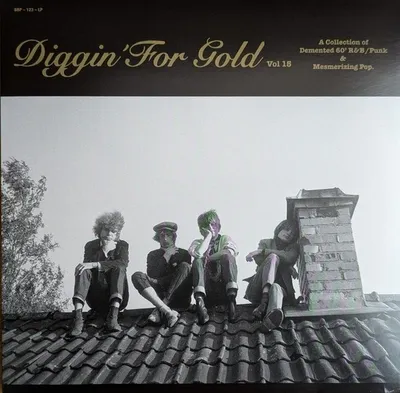 Zdjęcie produktu dla Various Artists - Diggin' For Gold Vol 15 (Limited Edition) (LP)