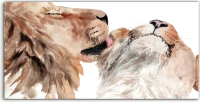 Produktbild von Coloray Acrylbild 100x50  Wandbild Acrylbilder Foto Malerei afrikanische Löwen Tiere