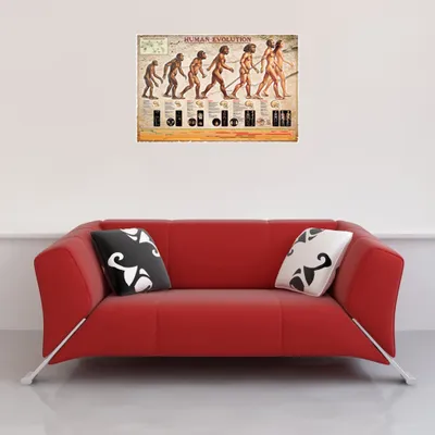 Immagine prodotto di Didattica - Educazione - Poster - Evoluzione umana + 1 confezione di tesa Powerstrips® - Contenuto 20 pezzi