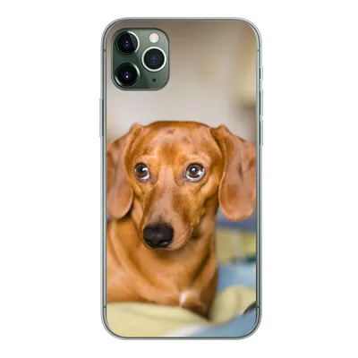 Produktbild von MuchoWow® Handyhülle Schutzhülle Hülle für iPhone 11 Pro Max Dackel liegend auf einem Bett Silikon Softcase Handy Hülle - Schutz