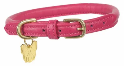 Image de Digby & Fox - Collier de chien, cuir enroulé, boucle ER2101 (M/L - Neckline : 47 cm-52 cm) (Rose)