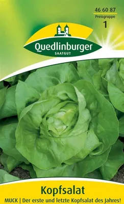 Produktbild von Kopfsalat, Muck