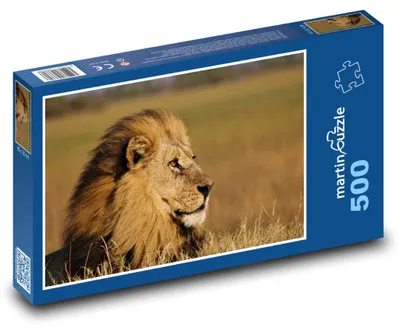 Obrázok produktu pre martinpuzzle - Puzzle 500 - Lev - král džungle, mäsožravec
