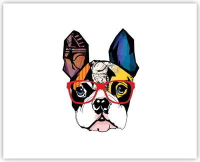 Produktbild von Poster - Poster ohne Rahmen - Hund Brille Bunt Bulldogge - 50x40 cm - Wand Bild - Wanddeko - Wandbilder - Kunstposter - Wandposter - Bilder - Kunstdruck - Wanddekoration - Wandbild - P2XAA50x40-3206