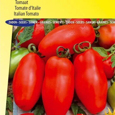 Produktbild von San Marzano 3 Tomatensamen – –  für authentische, saftige Tomaten – perfekt für Saucen und Suppen – reich an Nährstoffen – hoher Ertrag