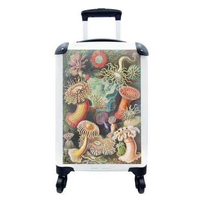 Produktbild von MuchoWow® Koffer Handgepäck Trolley Rollkoffer Kleine Reisekoffer mit 4 Rollen - Ernst Haeckel - Anemone - Retro - Natur - Pflanzen - Meer - Cabin Size < 55x40x23 cm & 55x40x20 cm - Fotokoffer - Kabinenkoffer - Boardgepäck - Reise-Box - Reisekoffer - Reisegepäck - Koffer mit Bild - Trolley für Kinder