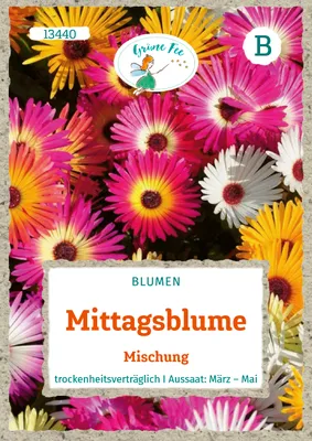 Produktbild von Mittagsblume Mischung | Mittagsblumensamen von Grüne Fee