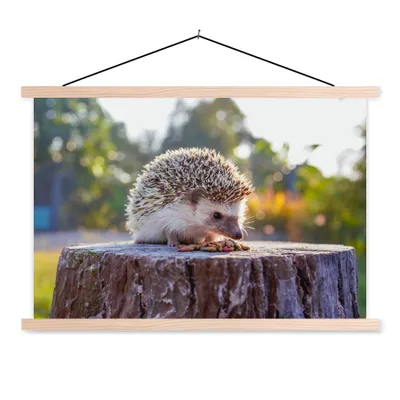 Produktbild von MuchoWow® Textilposter Essender Igel 60x40 cm mit holzfarbenen Rahmen - Bilder
