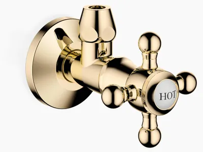 Immagine prodotto di Dornbracht MADISON Vanne d'angle, chaude, 1/2, 22900361-09, 22900361-09