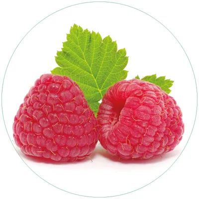 Produktbild von Wallario Premium Glasbild, freischwebende Optik, kräftige Farben, rund 50cm Durchmesser, Motiv Himbeeren mit grünem Blatt auf weißem Grund