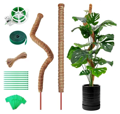 Produktbild von Rankhilfe für Monstera, 2 Stück, 120 cm Pflanzstab aus Kokos, biegsame Pflanzenstütze für Kletterpflanzen